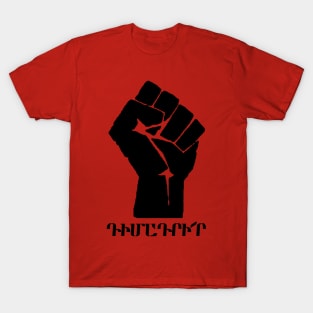 ԴԻՄԱԴՐԻ՛Ր - RESIST (E. Armenian) T-Shirt